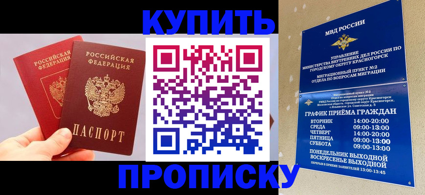 миграционный учет в Димитровграде